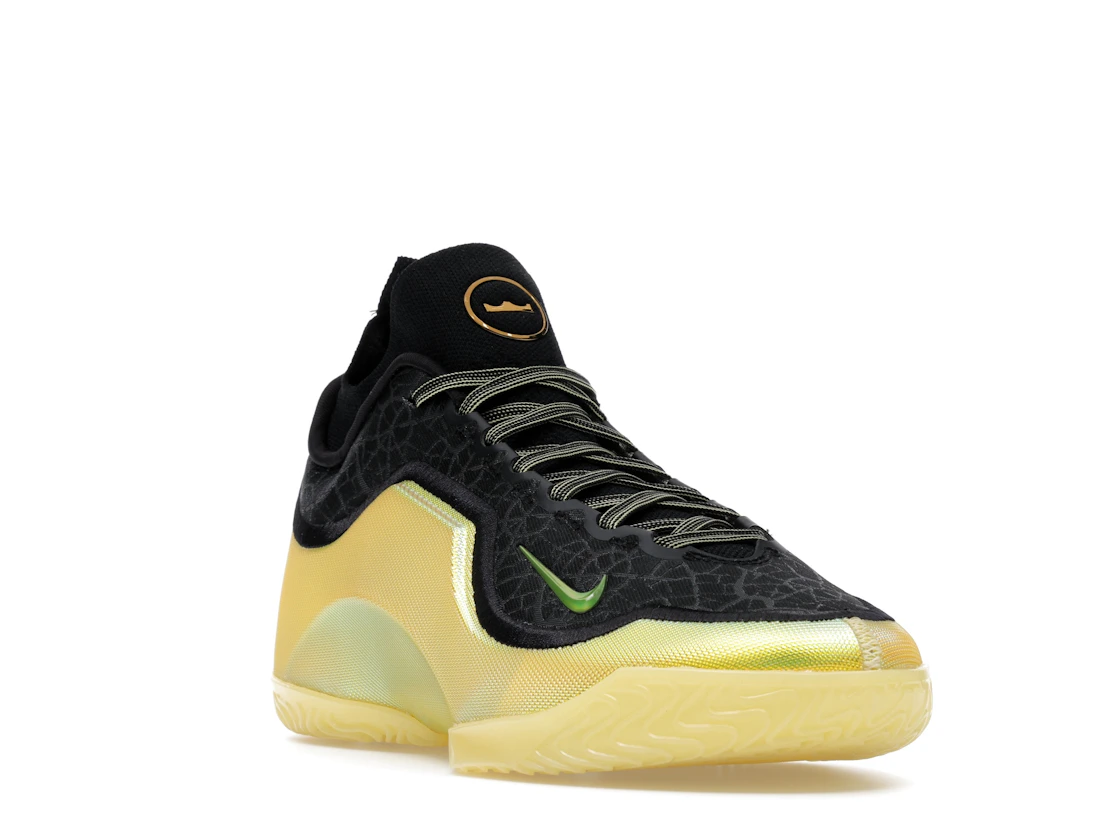 Nike LeBron 23 Elite Hurt Feelings Write History