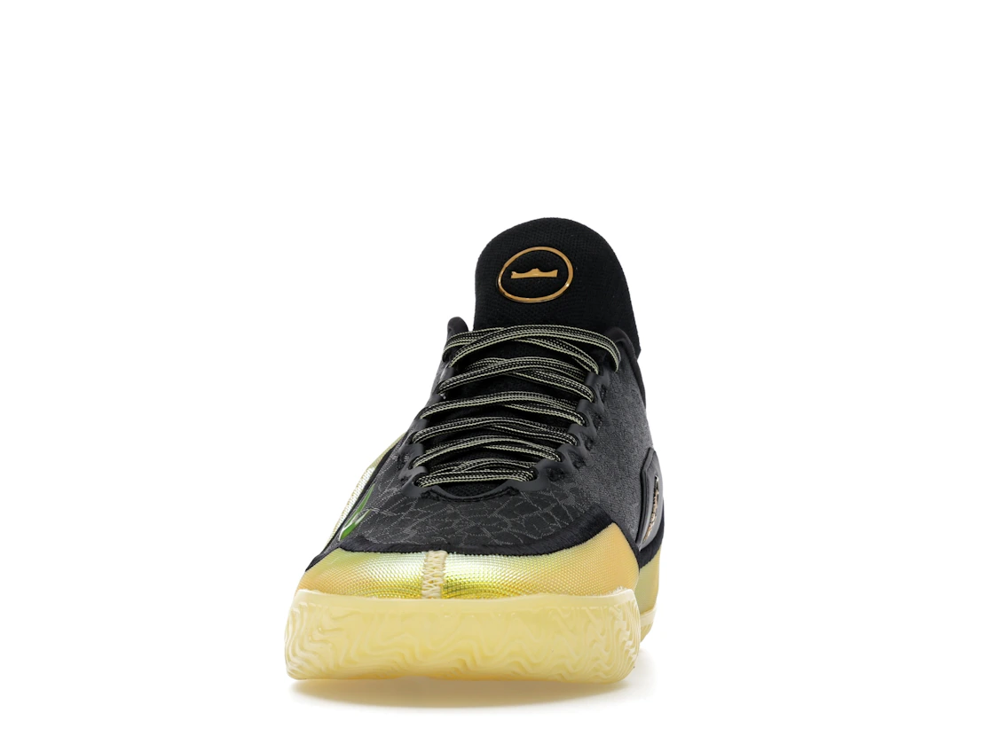 Nike LeBron 23 Elite Hurt Feelings Write History