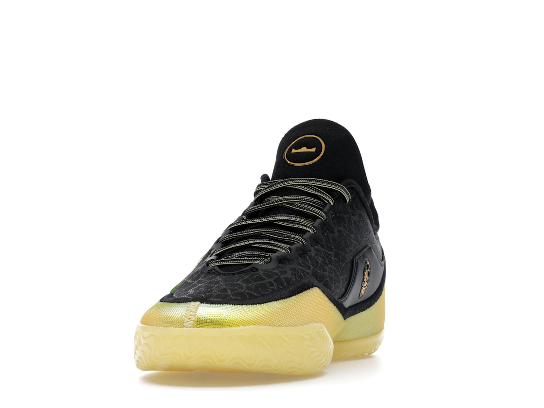 Nike LeBron 23 Elite Hurt Feelings Write History