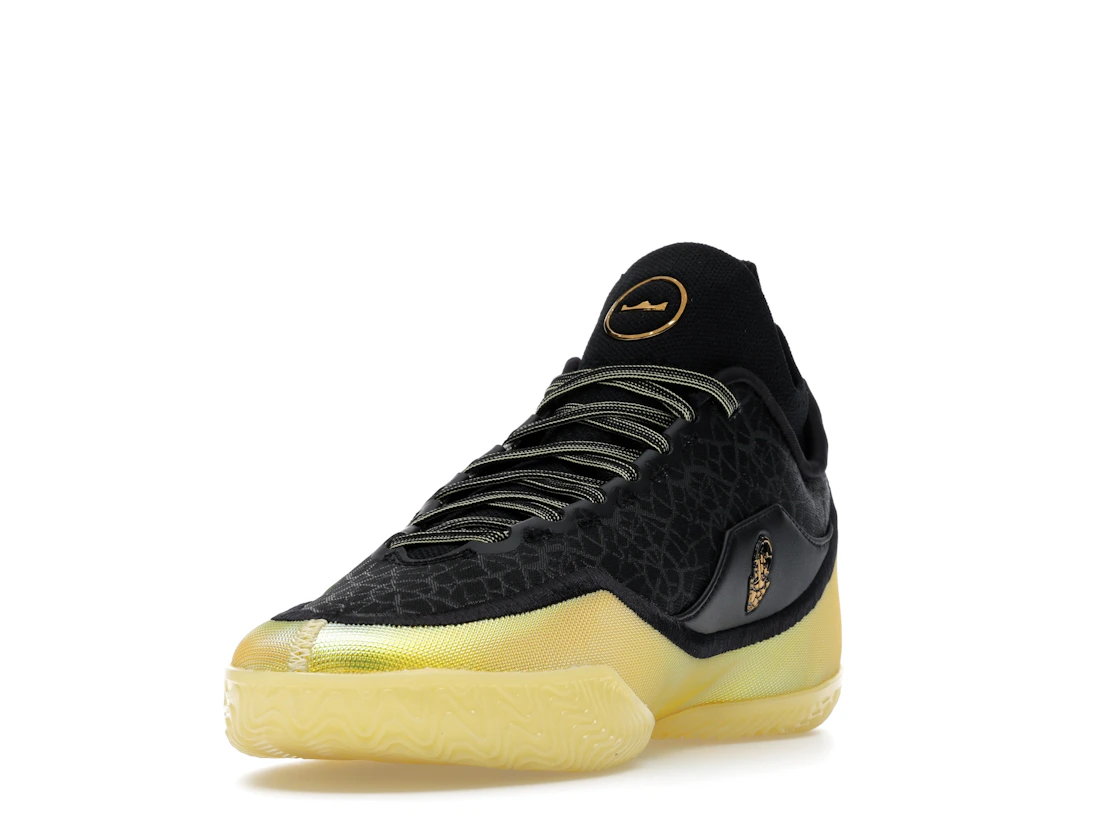 Nike LeBron 23 Elite Hurt Feelings Write History