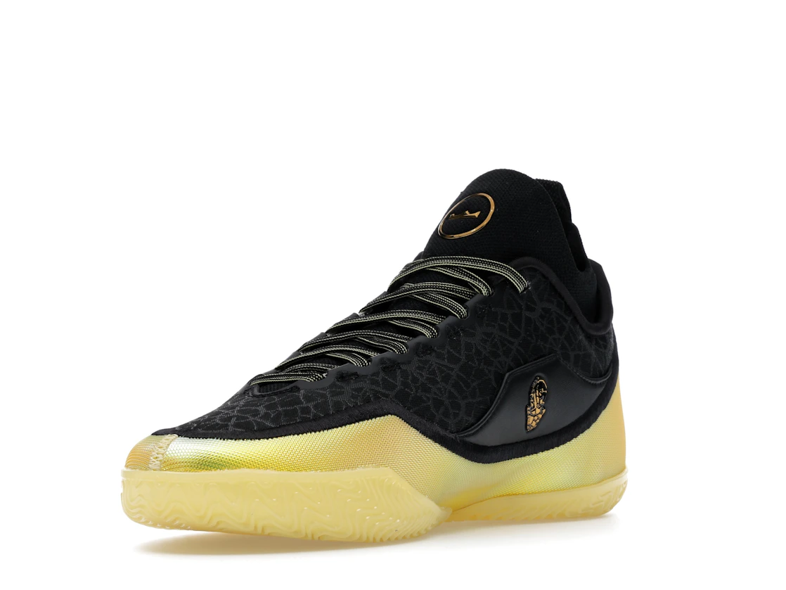 Nike LeBron 23 Elite Hurt Feelings Write History