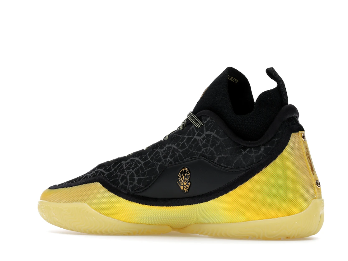 Nike LeBron 23 Elite Hurt Feelings Write History