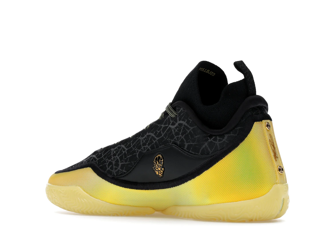 Nike LeBron 23 Elite Hurt Feelings Write History