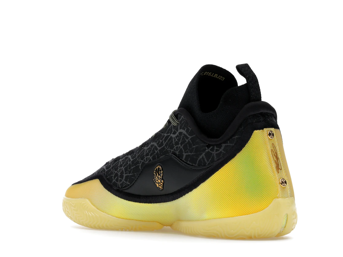 Nike LeBron 23 Elite Hurt Feelings Write History