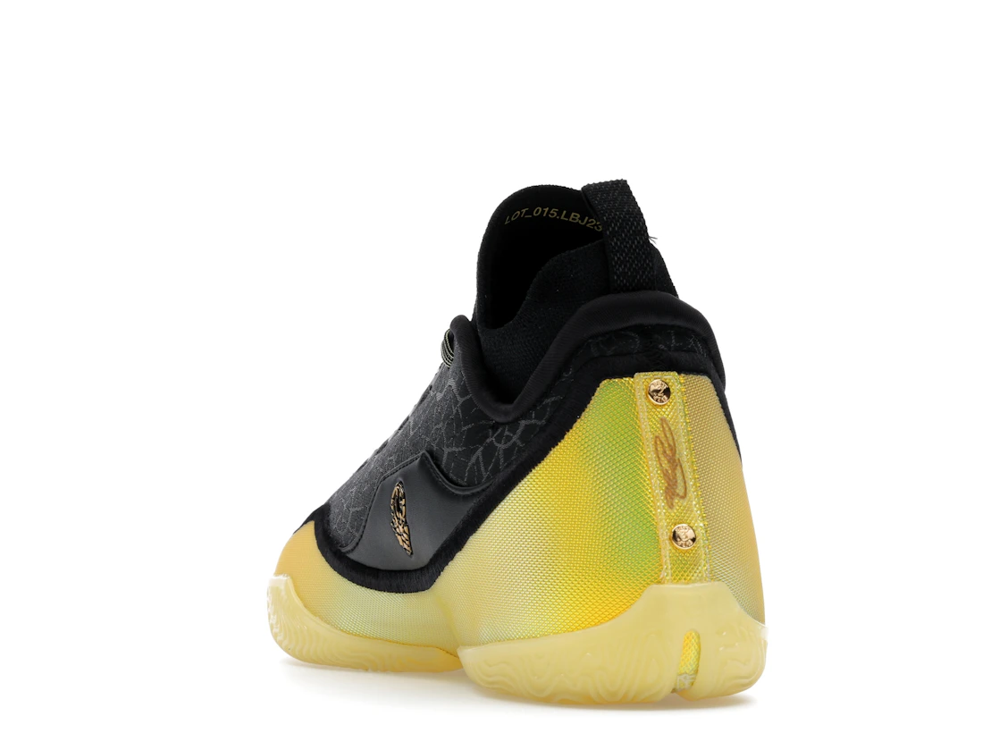 Nike LeBron 23 Elite Hurt Feelings Write History