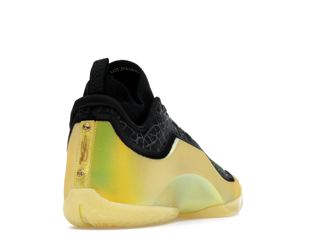 Nike LeBron 23 Elite Hurt Feelings Write History