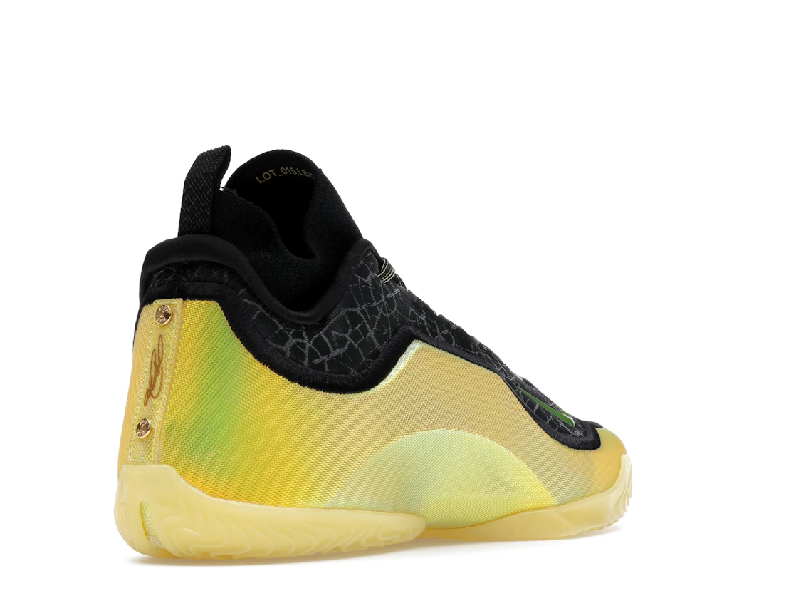 Nike LeBron 23 Elite Hurt Feelings Write History