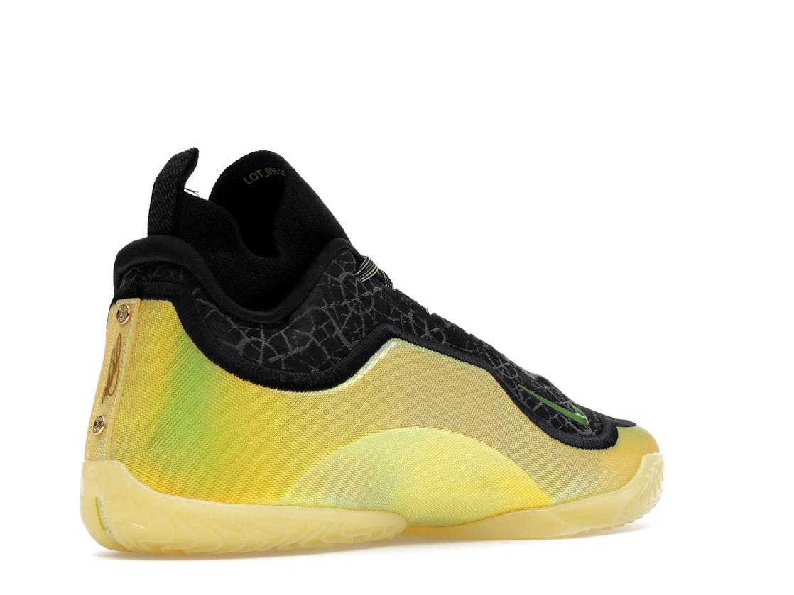 Nike LeBron 23 Elite Hurt Feelings Write History