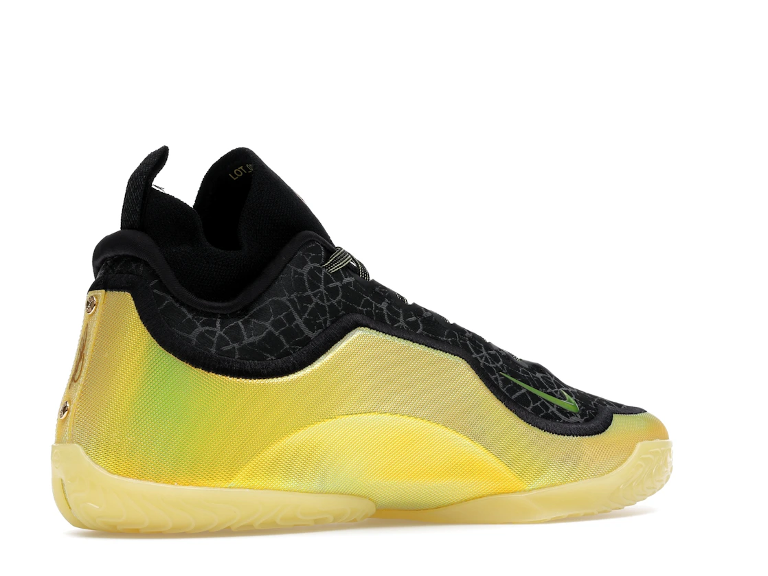 Nike LeBron 23 Elite Hurt Feelings Write History