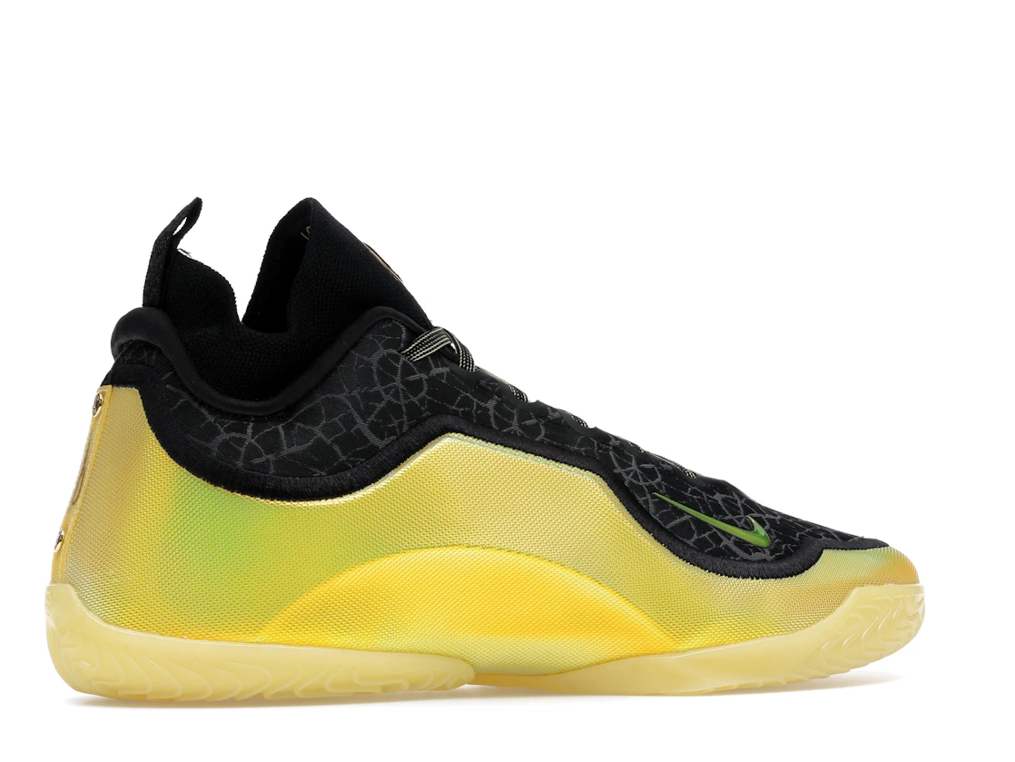 Nike LeBron 23 Elite Hurt Feelings Write History