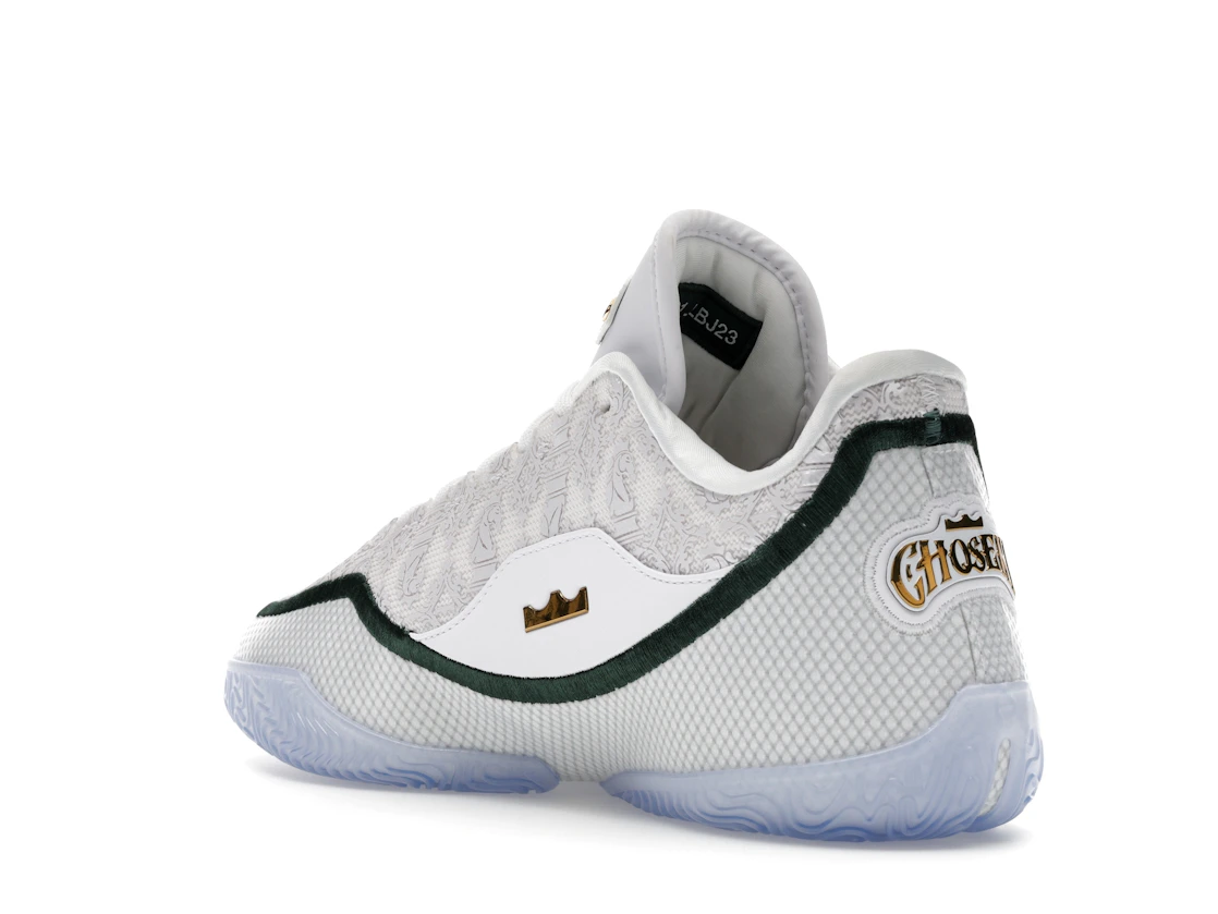 Nike LeBron 23 From This Point Forward