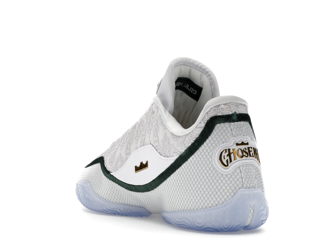 Nike LeBron 23 From This Point Forward