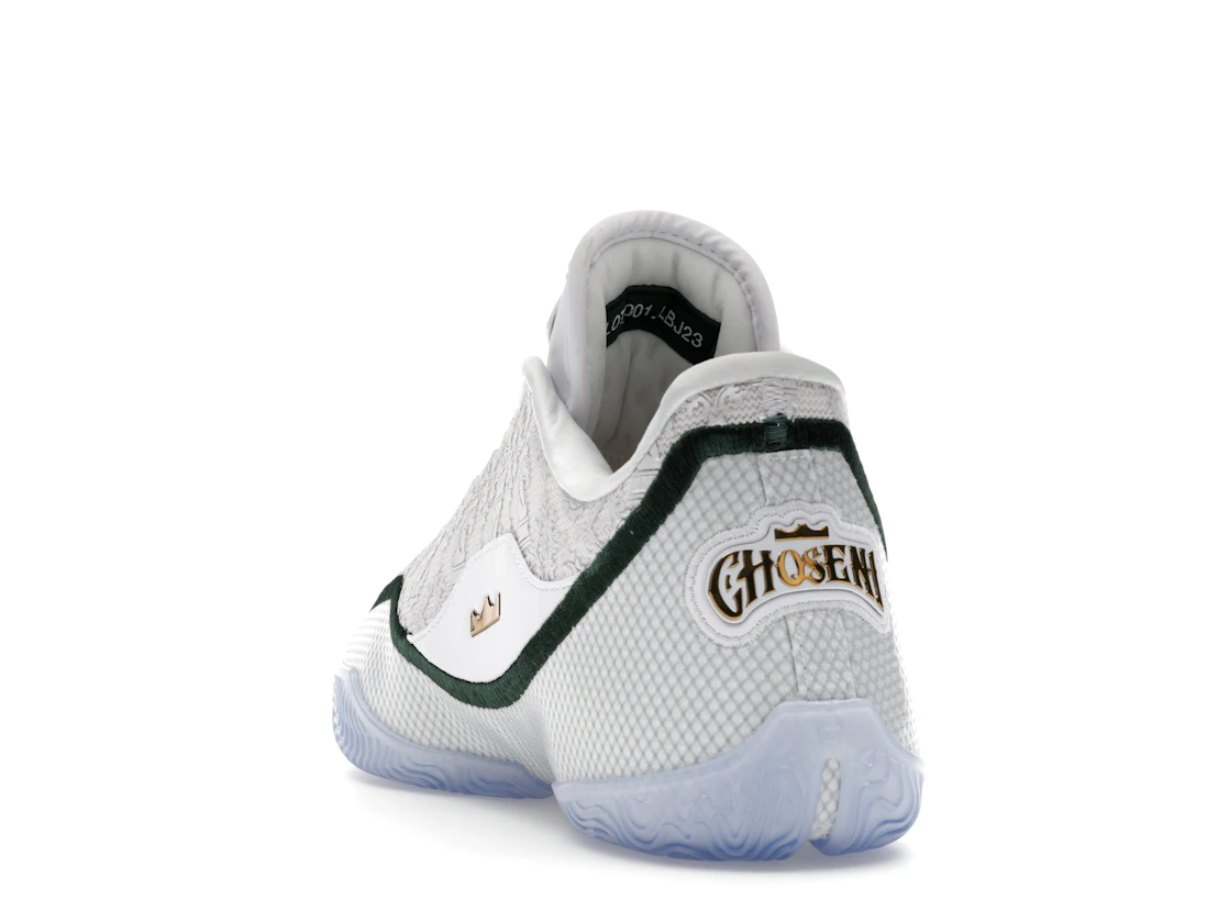 Nike LeBron 23 From This Point Forward