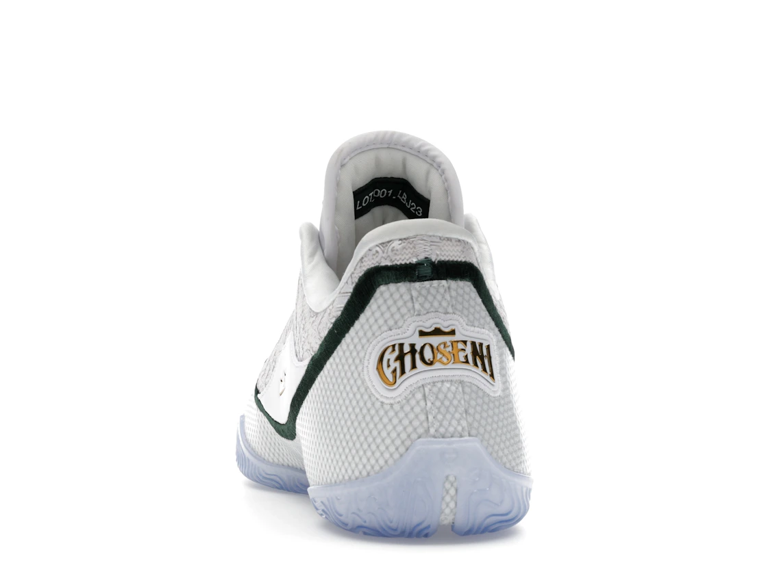 Nike LeBron 23 From This Point Forward