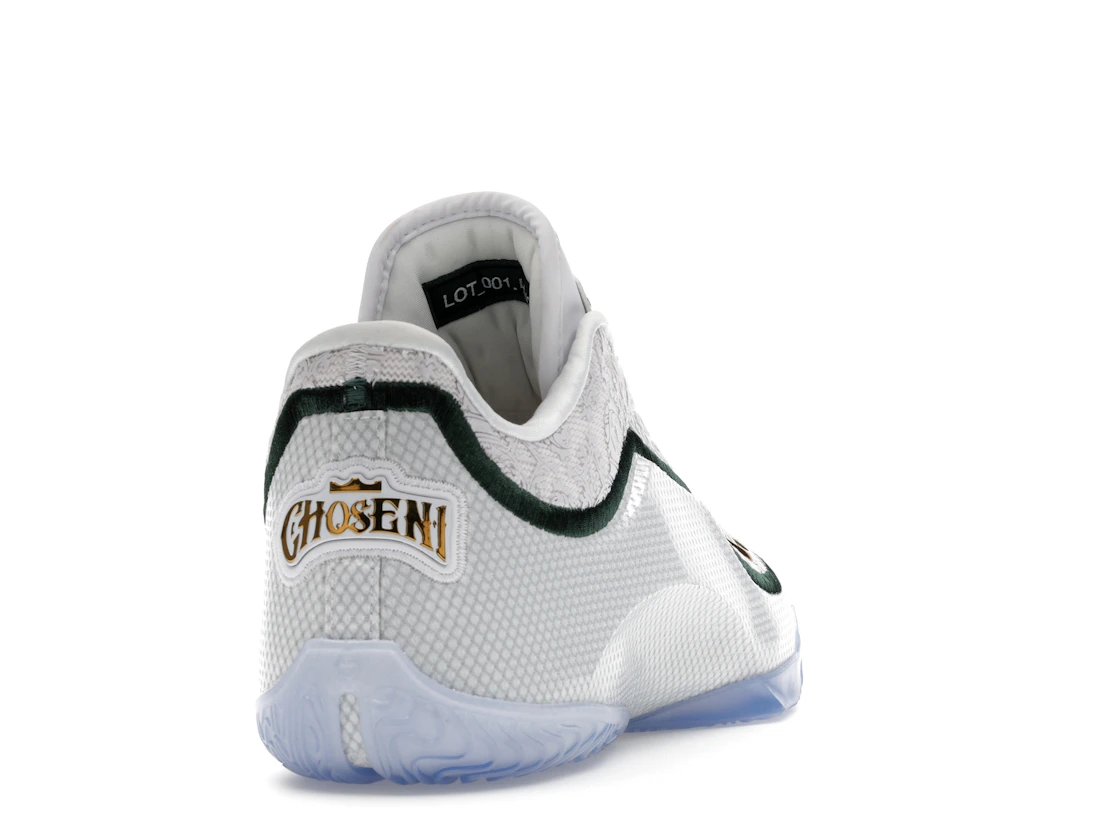 Nike LeBron 23 From This Point Forward