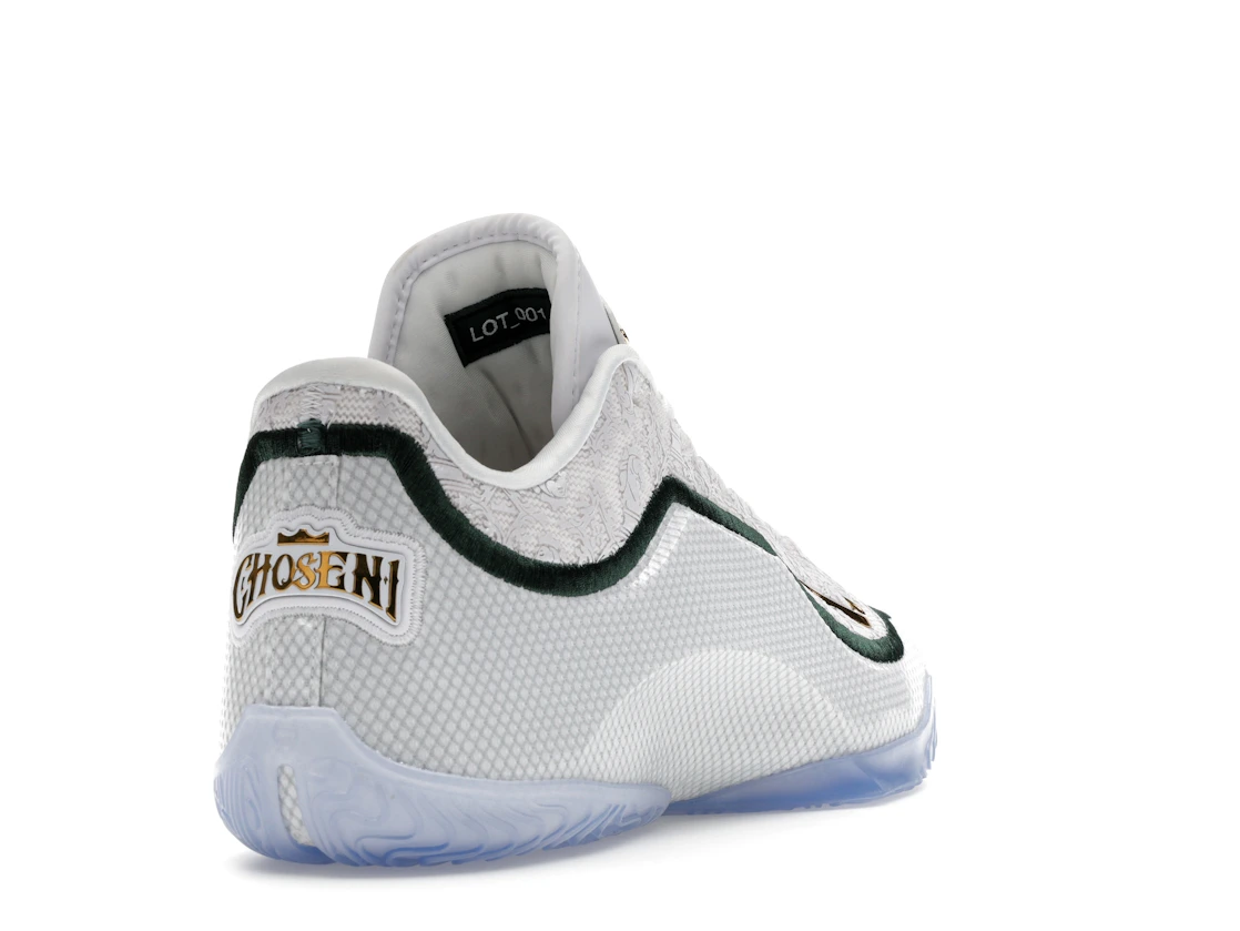 Nike LeBron 23 From This Point Forward