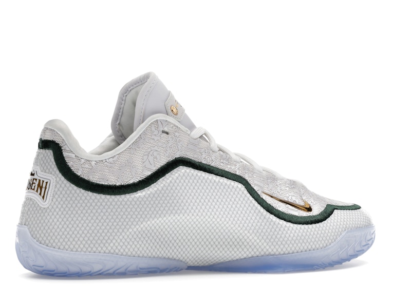 Nike LeBron 23 From This Point Forward