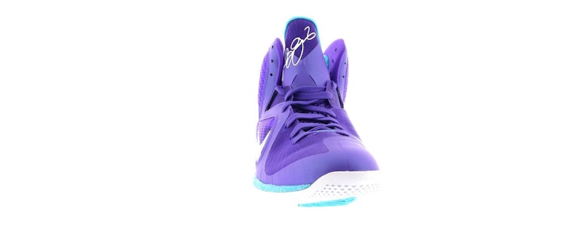 Nike LeBron 9 Summit Lake Hornets