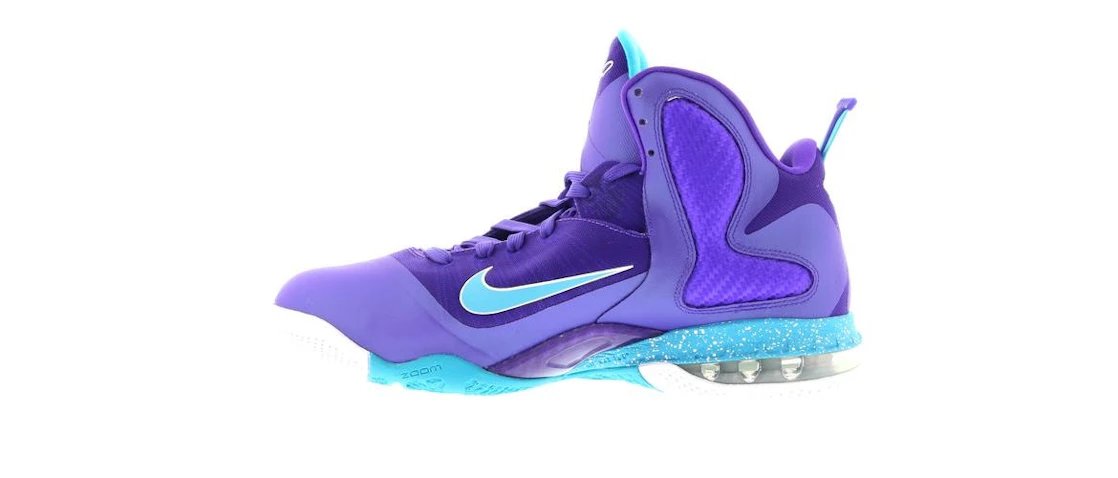 Nike LeBron 9 Summit Lake Hornets