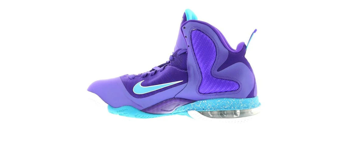 Nike LeBron 9 Summit Lake Hornets