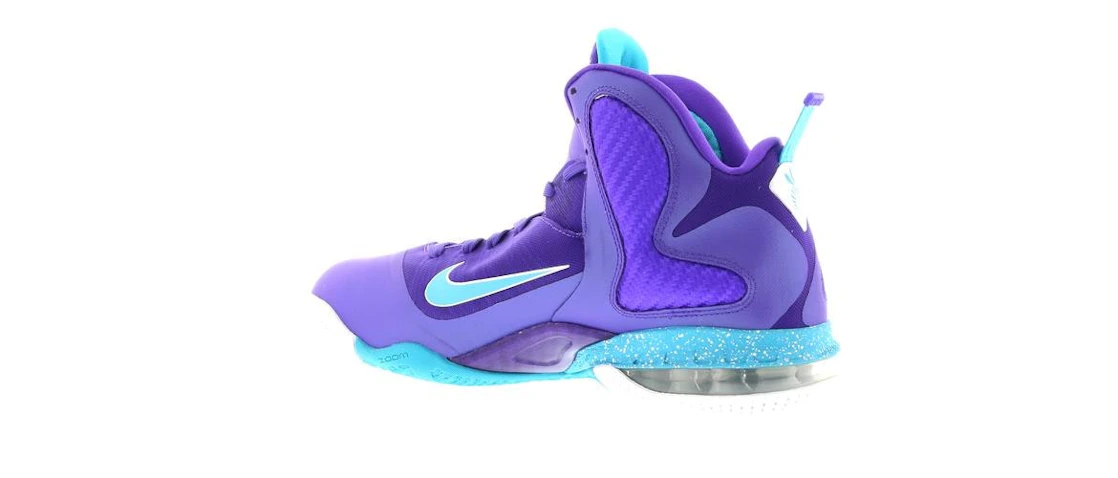 Nike LeBron 9 Summit Lake Hornets