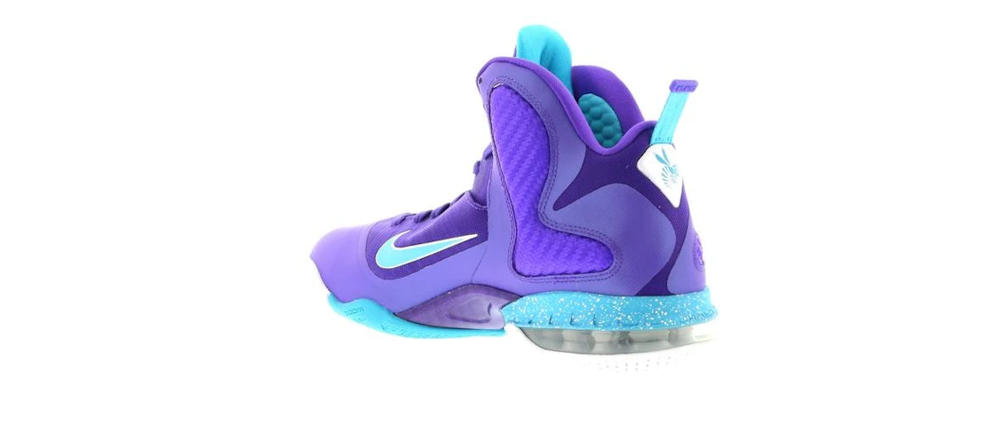 Nike LeBron 9 Summit Lake Hornets