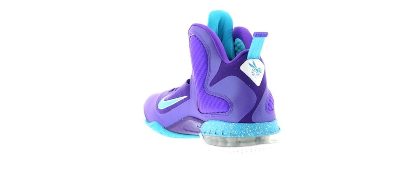 Nike LeBron 9 Summit Lake Hornets