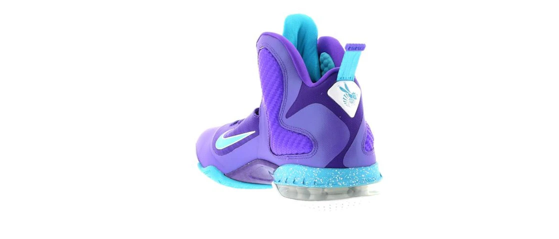 Nike LeBron 9 Summit Lake Hornets