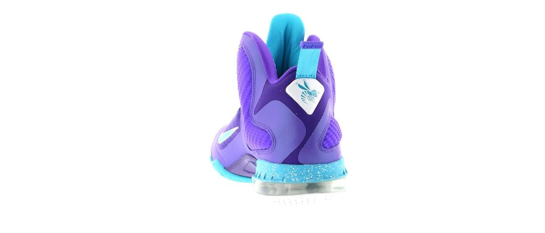 Nike LeBron 9 Summit Lake Hornets