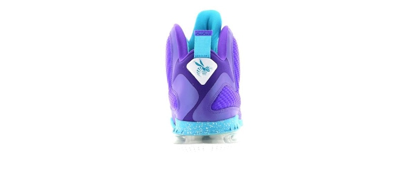 Nike LeBron 9 Summit Lake Hornets