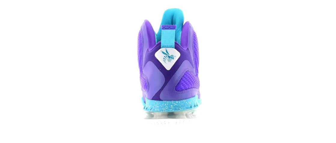 Nike LeBron 9 Summit Lake Hornets