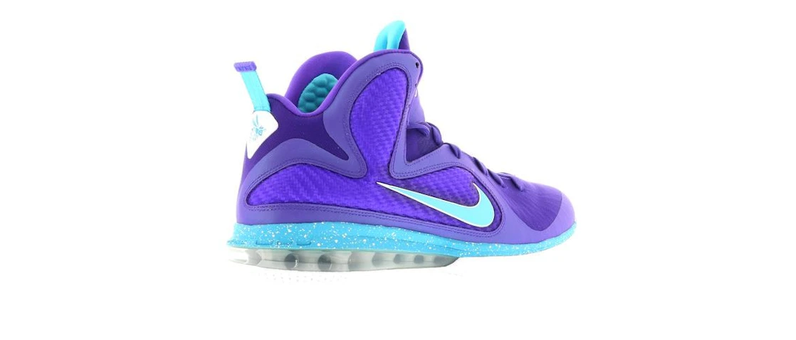 Nike LeBron 9 Summit Lake Hornets