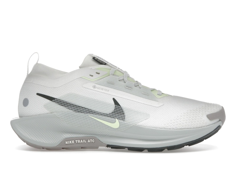 Nike Pegasus Trail 5 Gore-Tex Summit White Light Silver College