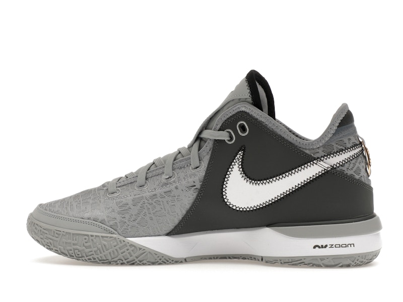 Nike Zoom LeBron NXXT Gen Wolf Grey Metallic Gold