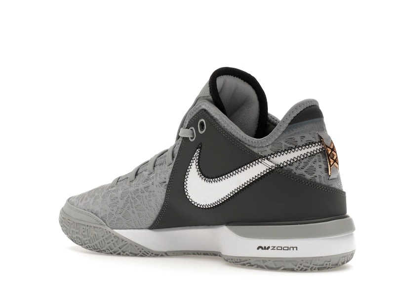 Nike Zoom LeBron NXXT Gen Wolf Grey Metallic Gold