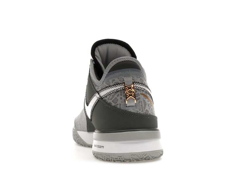 Nike Zoom LeBron NXXT Gen Wolf Grey Metallic Gold