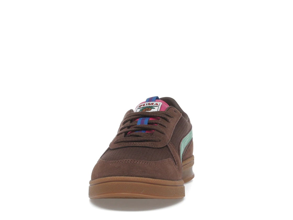 Puma Indoor Rothaus Tannenzäpfle