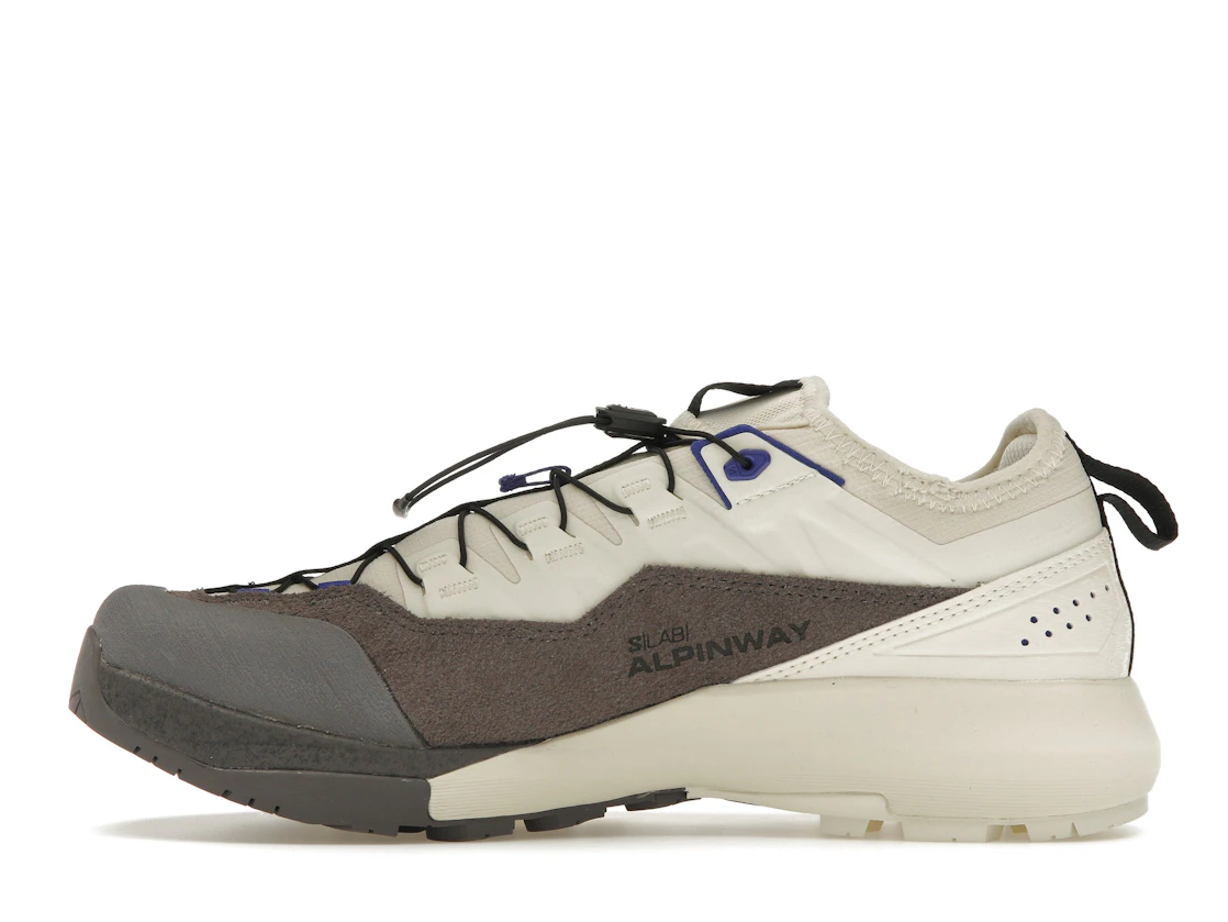 Salomon Alpinway Advanced Almond Milk Plum Kitten