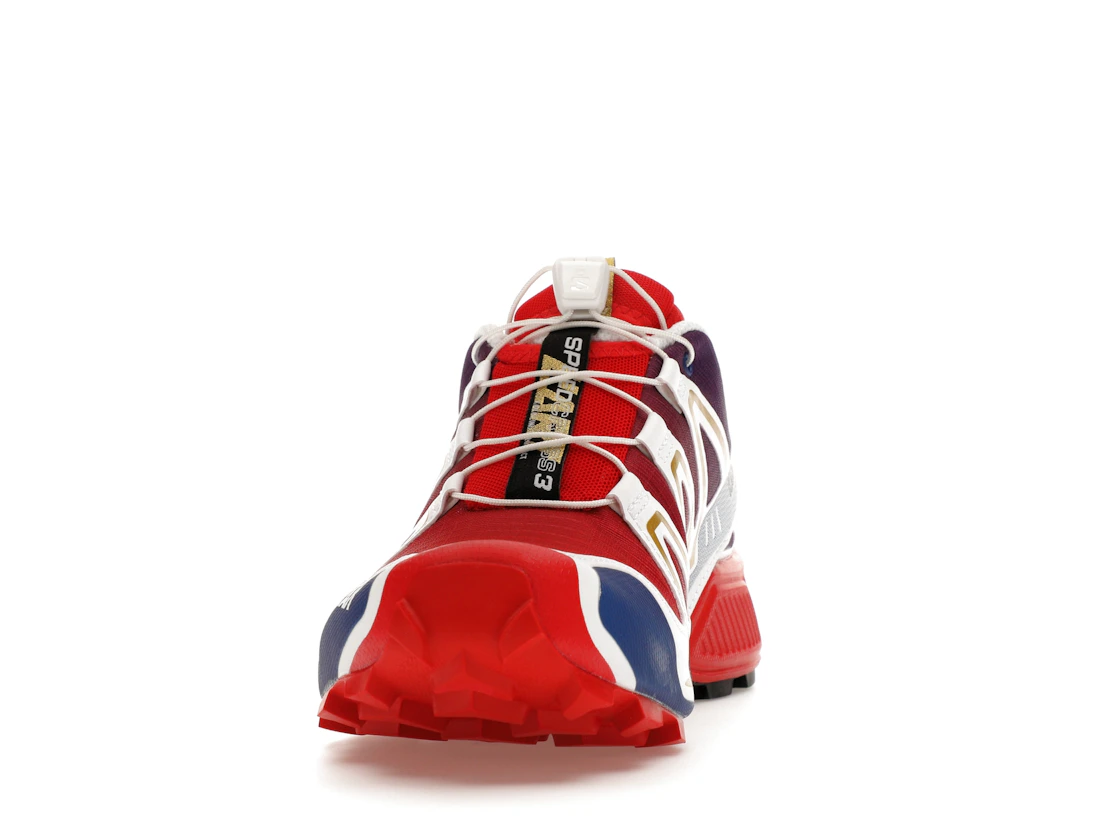 Salomon Speedcross 3 Kar L'Art de L'Automobile Porsche 911 GT1-98