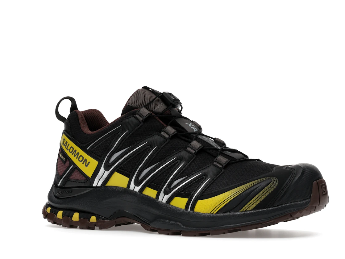 Salomon XA Pro 3D Gore-Tex Cress Green French Roast