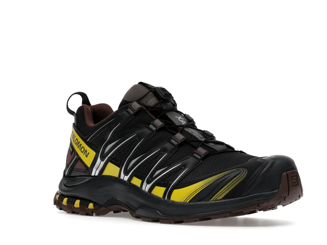 Salomon XA Pro 3D Gore-Tex Cress Green French Roast