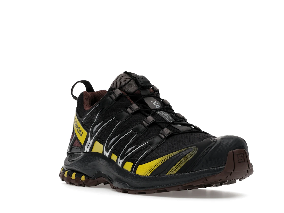 Salomon XA Pro 3D Gore-Tex Cress Green French Roast