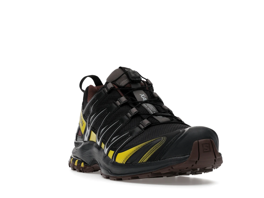 Salomon XA Pro 3D Gore-Tex Cress Green French Roast