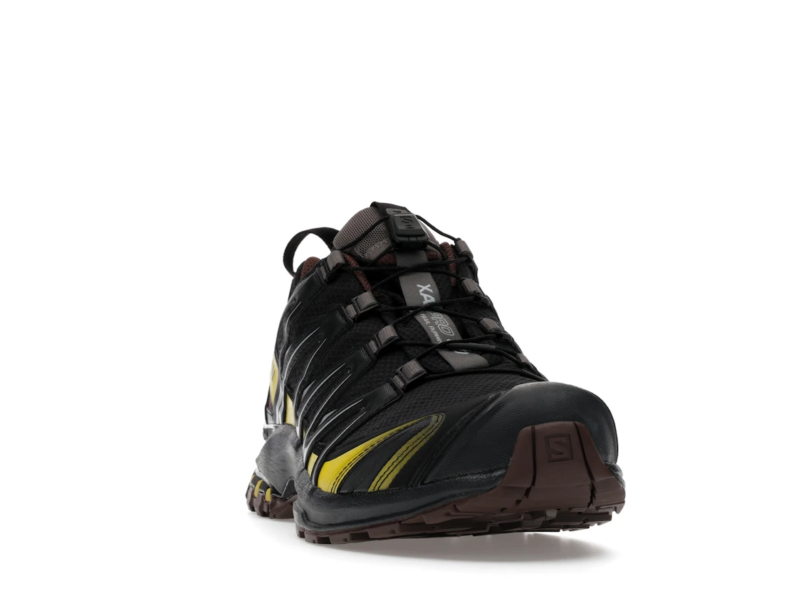 Salomon XA Pro 3D Gore-Tex Cress Green French Roast