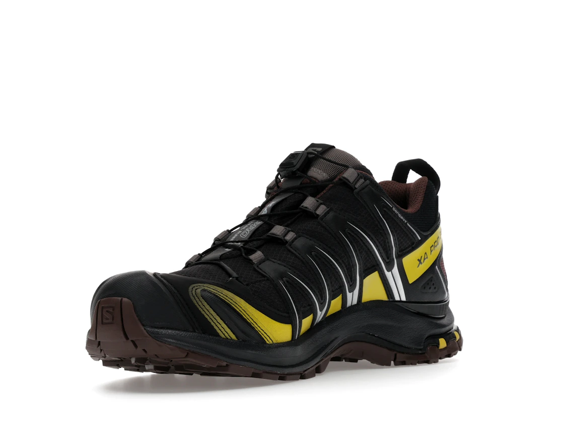 Salomon XA Pro 3D Gore-Tex Cress Green French Roast