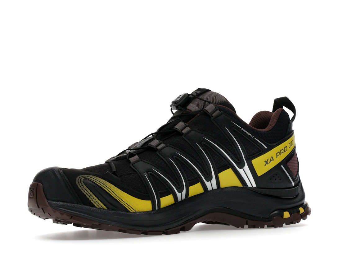Salomon XA Pro 3D Gore-Tex Cress Green French Roast