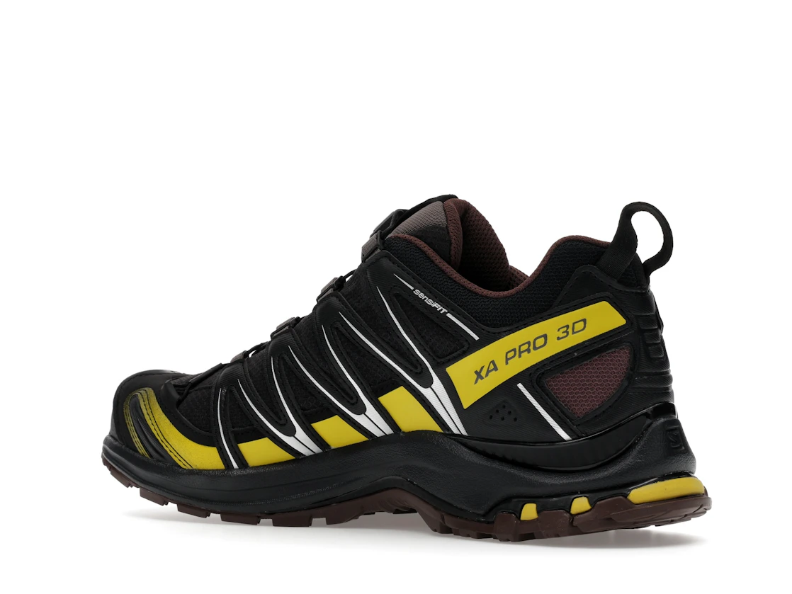 Salomon XA Pro 3D Gore-Tex Cress Green French Roast