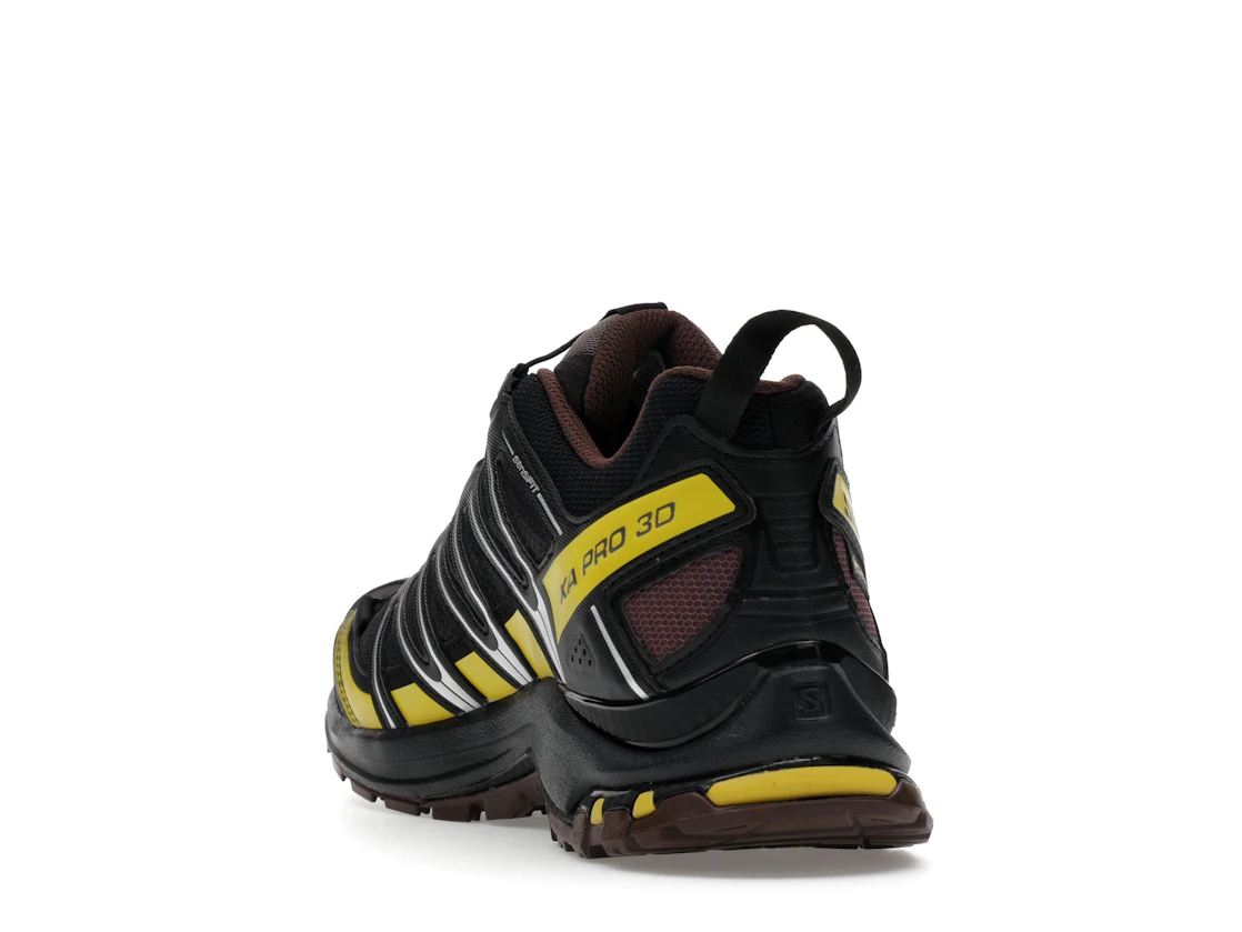 Salomon XA Pro 3D Gore-Tex Cress Green French Roast