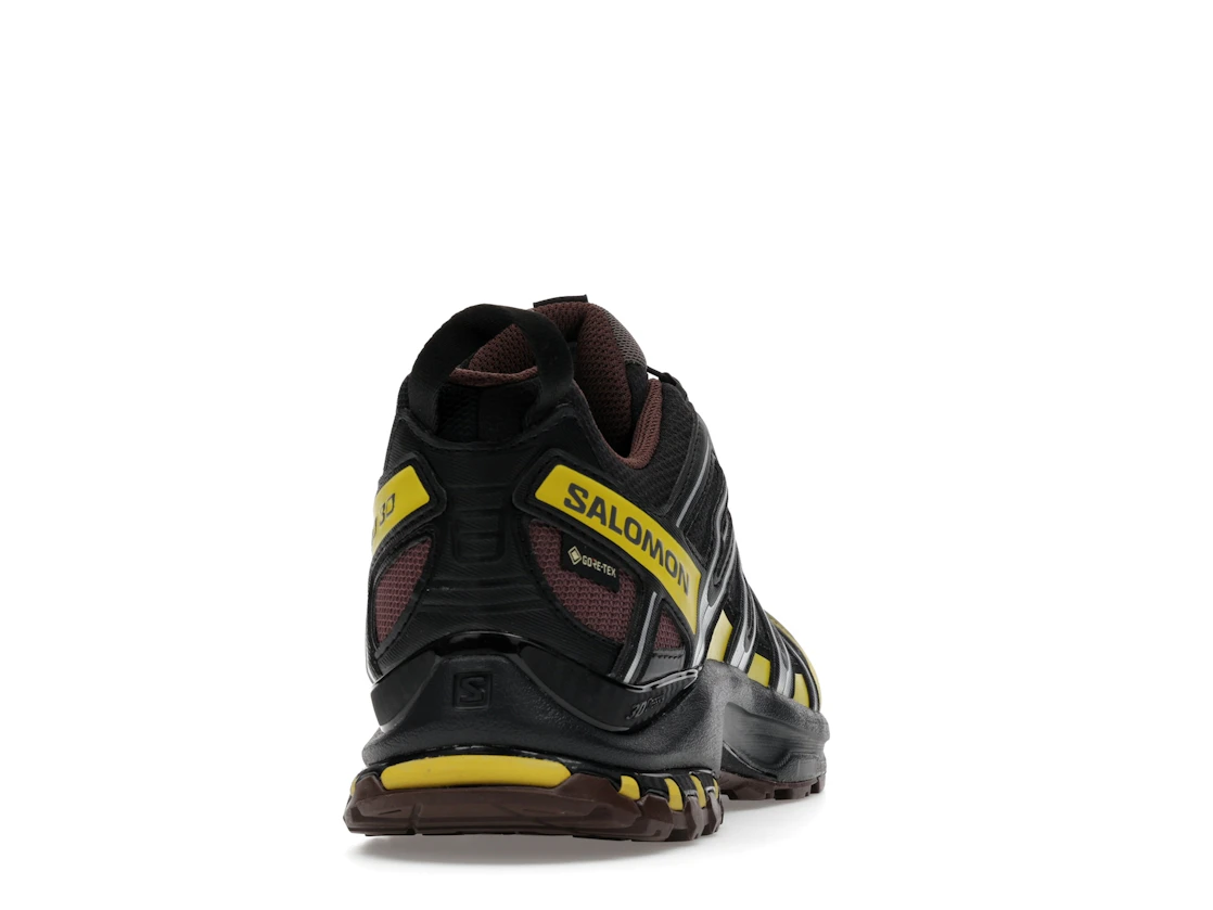 Salomon XA Pro 3D Gore-Tex Cress Green French Roast