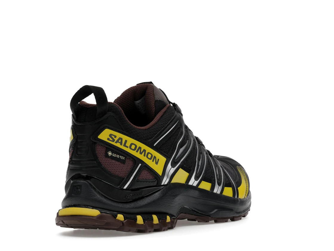 Salomon XA Pro 3D Gore-Tex Cress Green French Roast